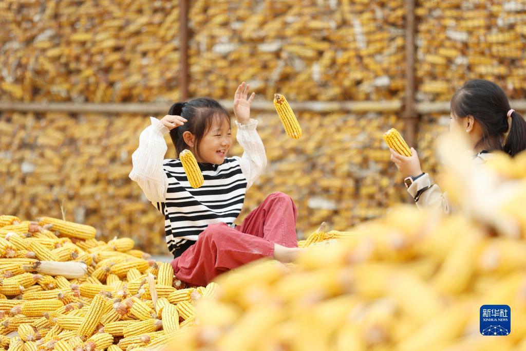 足球现金网去哪弄